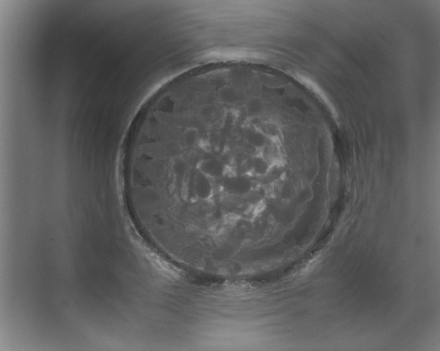 X0000072520983200607141153