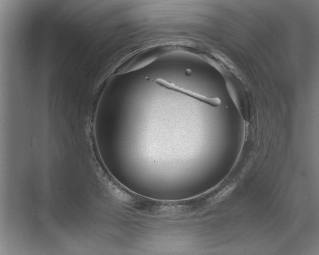 X0000072520985200607141153