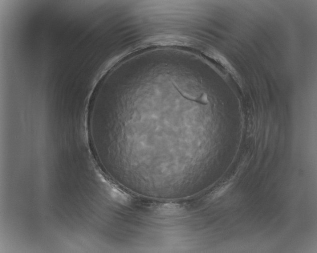 X0000072520986200607141153