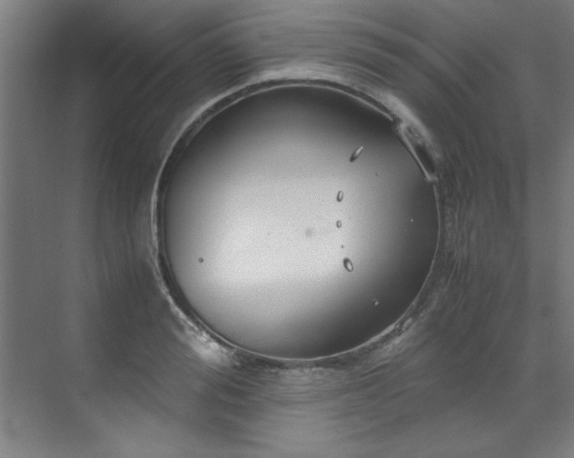 X0000072520988200607141153