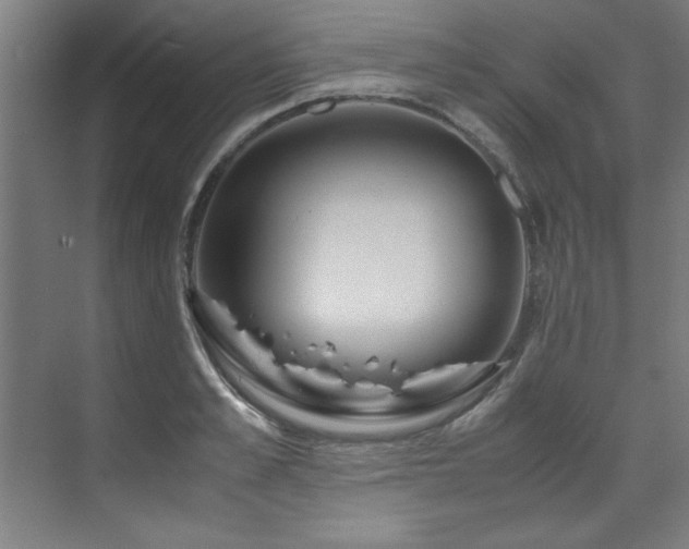 X0000072520989200607141153