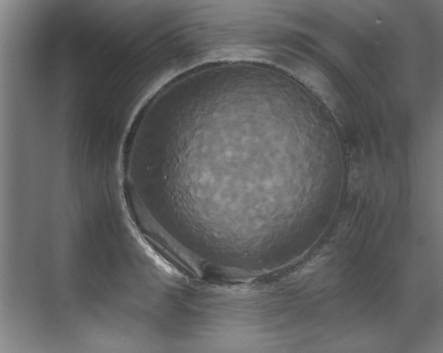 X0000072520990200607141153