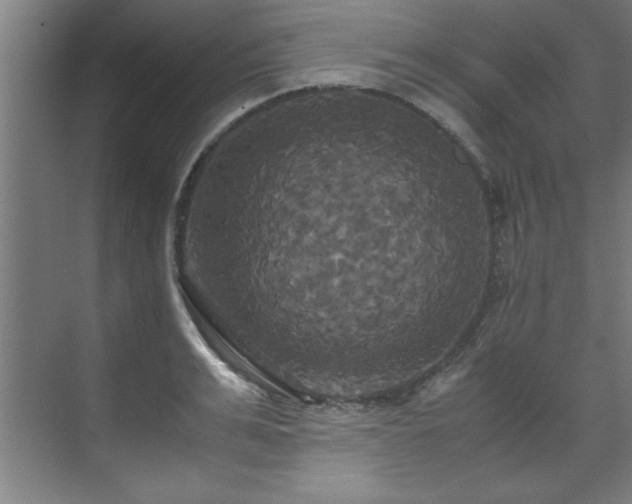 X0000072520991200607141153