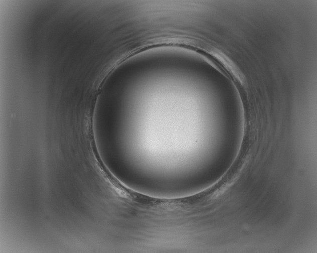 X0000072520993200607141153