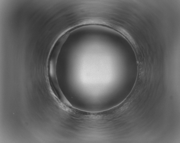 X0000072520996200607141153