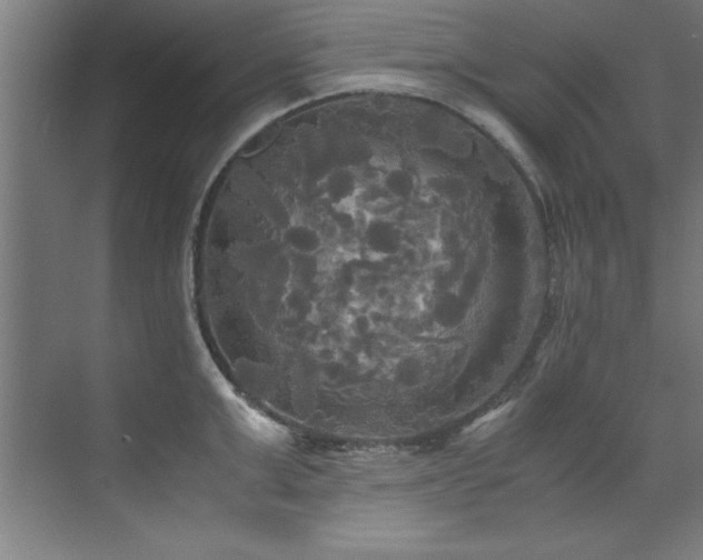 X0000072520999200607141153