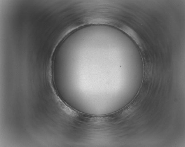 X0000072521000200607141153