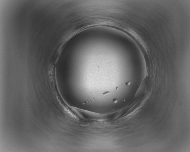 X0000072521001200607141153