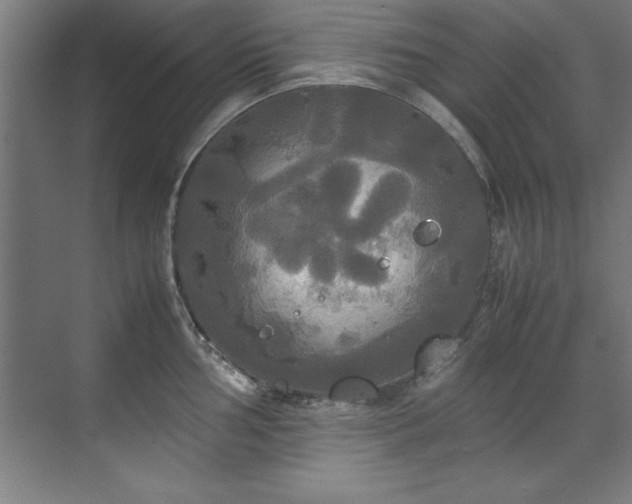 X0000072521002200607141153