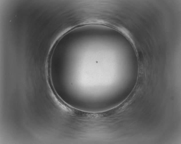 X0000072521003200607141153