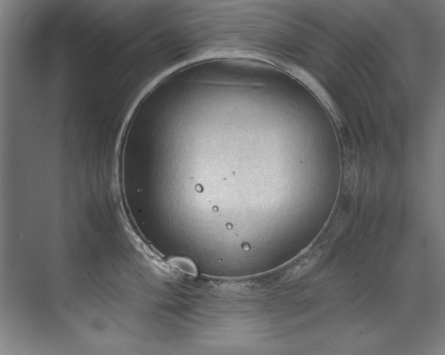 X0000072521004200607141153