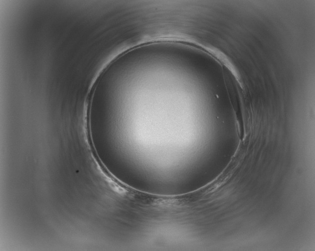 X0000072521006200607141153