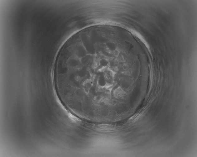 X0000072521007200607141153