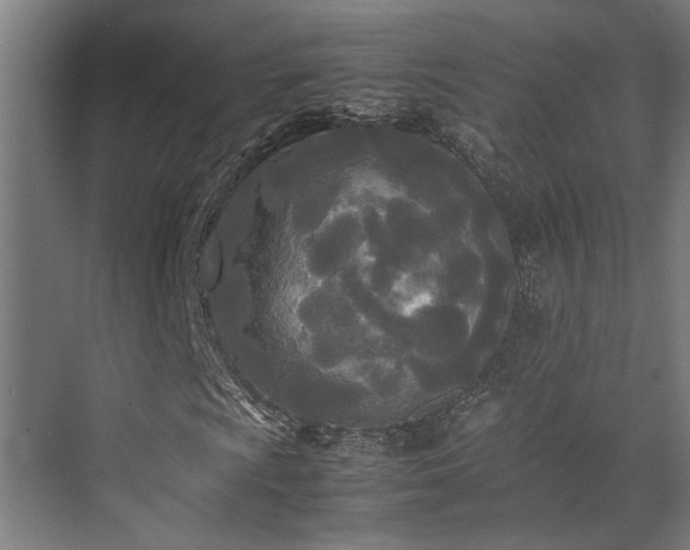 X0000072521009200607141152