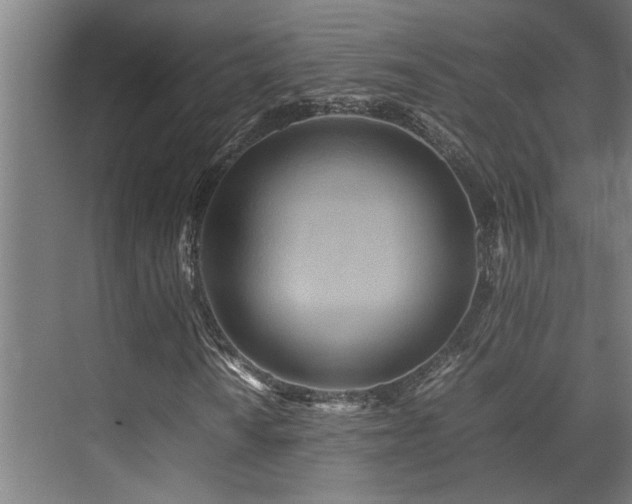 X0000072521010200607141152