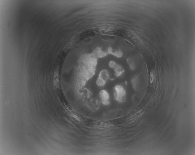 X0000072521011200607141152