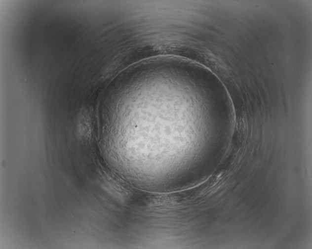 X0000072521012200607141152