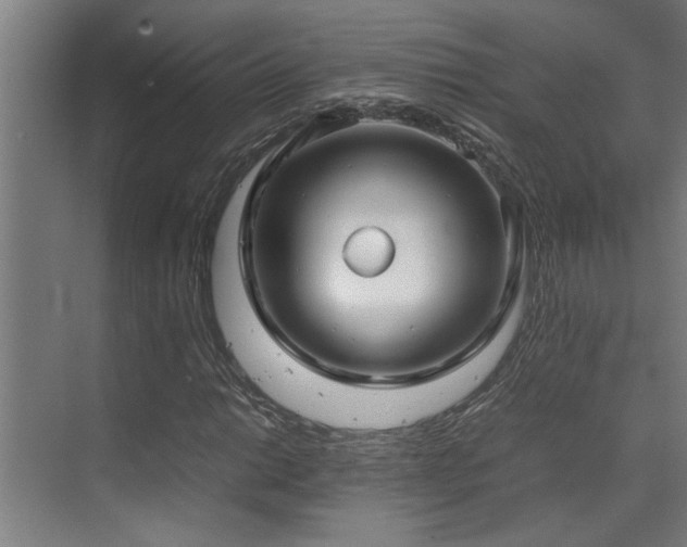 X0000072521014200607141152