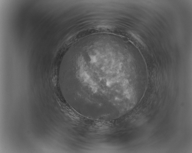 X0000072521015200607141152