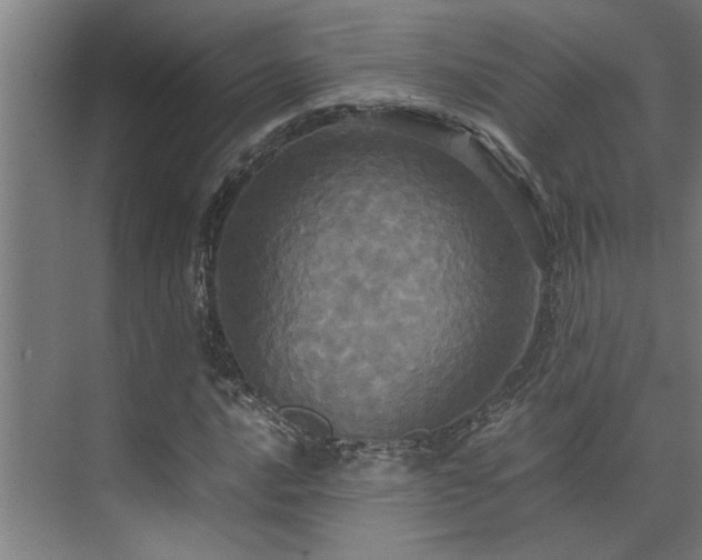 X0000072521016200607141152