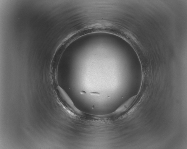 X0000072521018200607141152