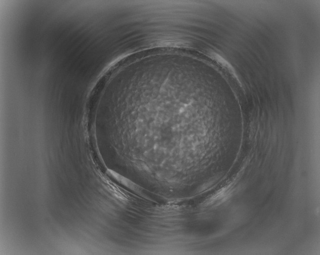 X0000072521019200607141152