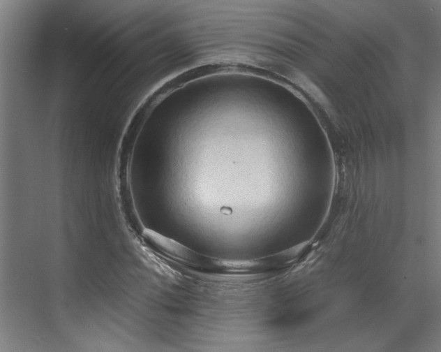 X0000072521020200607141152