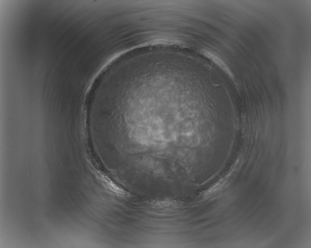 X0000072521021200607141152