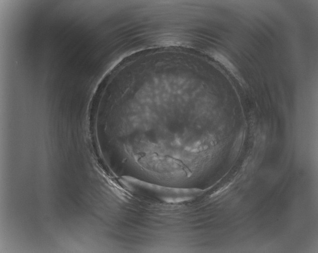 X0000072521023200607141152