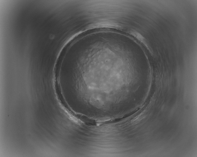 X0000072521024200607141152