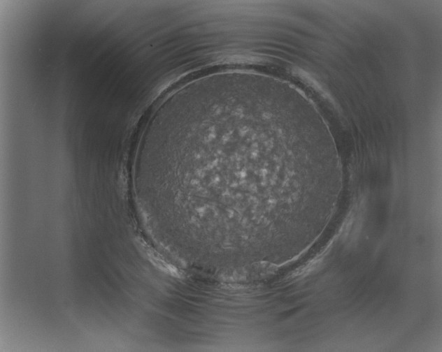 X0000072521025200607141152