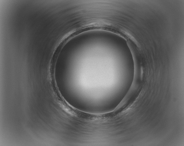 X0000072521026200607141152