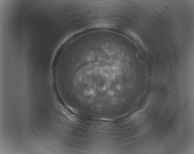 X0000072521027200607141152