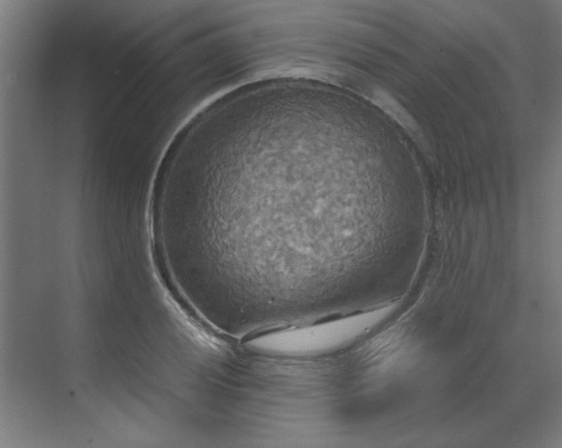 X0000072521028200607141152