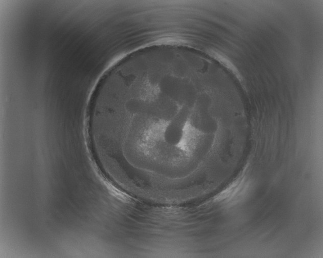 X0000072521029200607141152