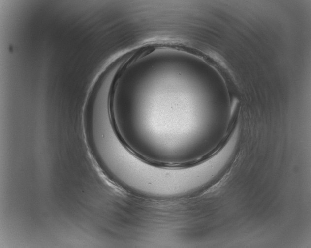 X0000072521030200607141152