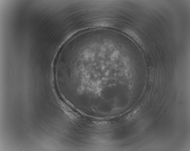 X0000072521031200607141152