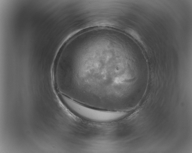 X0000072521032200607141152