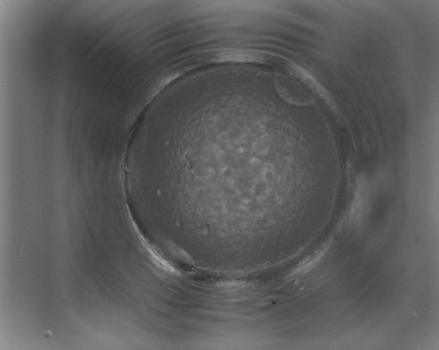 X0000072521033200607141152