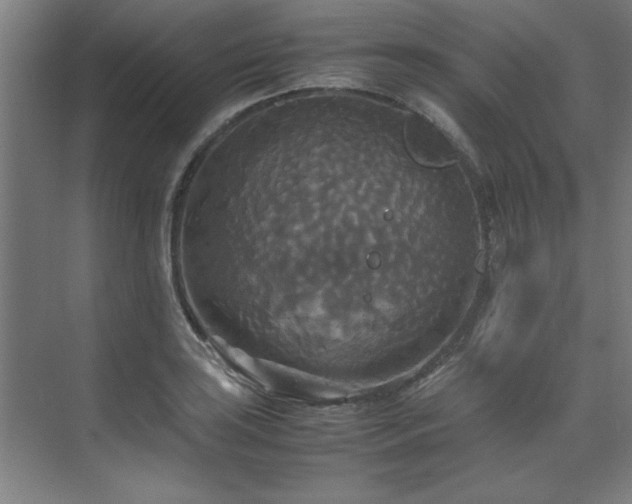 X0000072521035200607141152