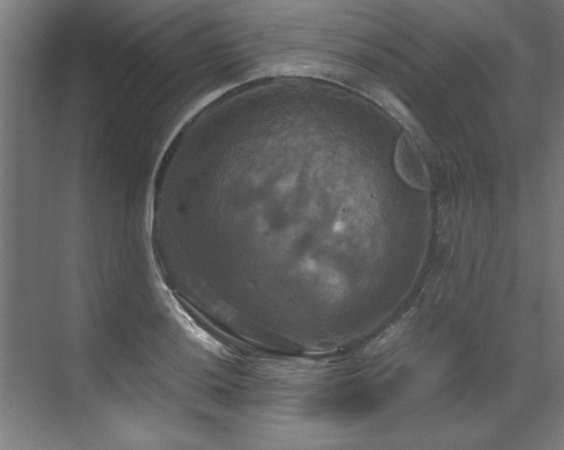 X0000072521036200607141152