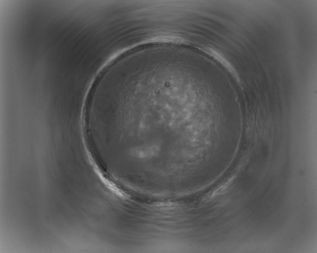 X0000072521037200607141152