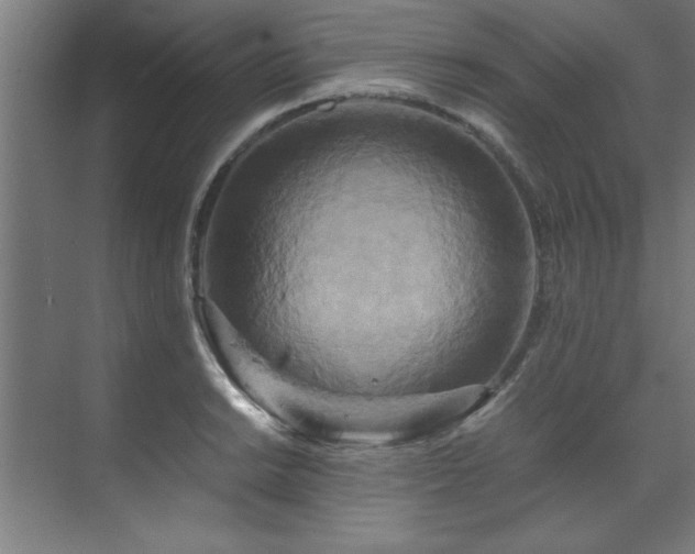 X0000072521038200607141153