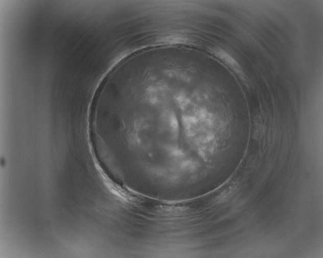 X0000072521039200607141153