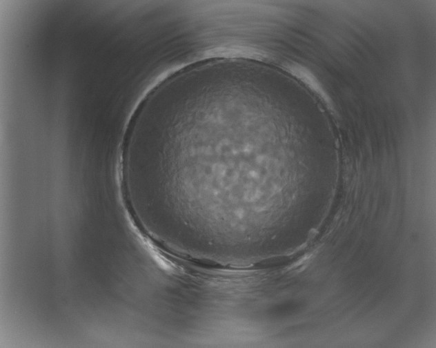 X0000072521040200607141153