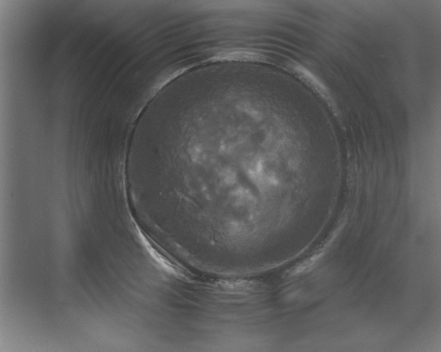 X0000072521041200607141153