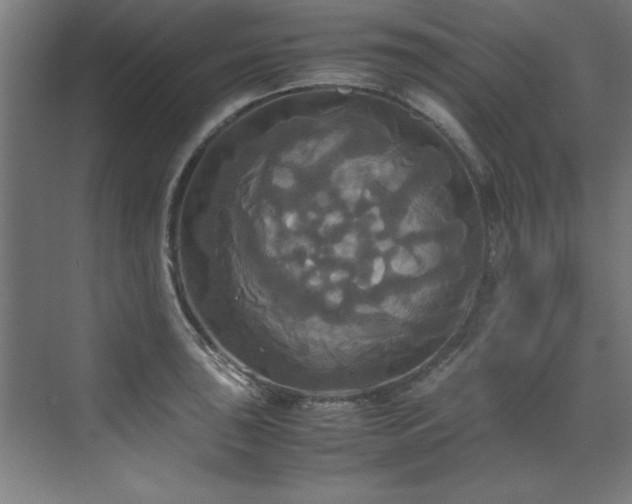 X0000072521043200607141153