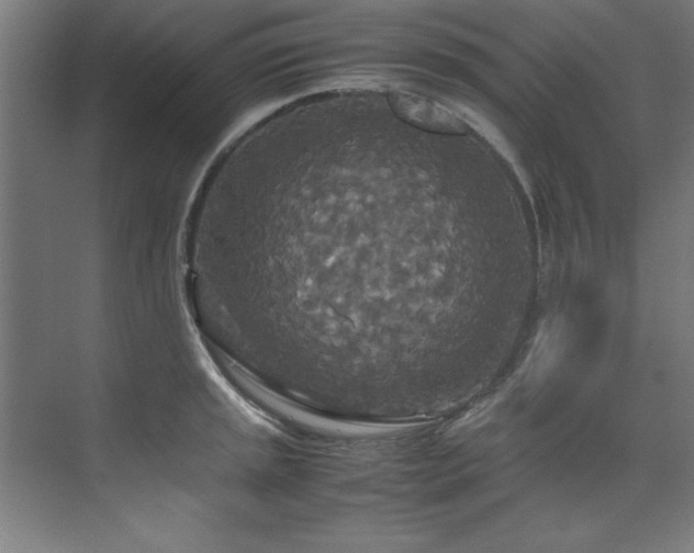 X0000072521045200607141153