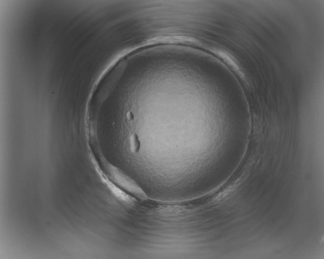 X0000072521046200607141153