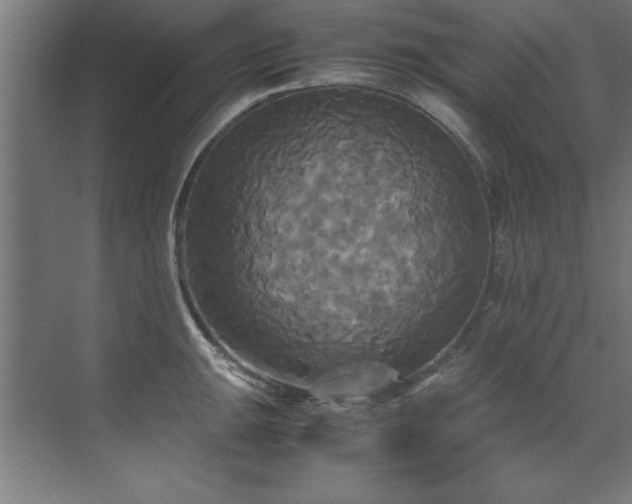 X0000072521047200607141153